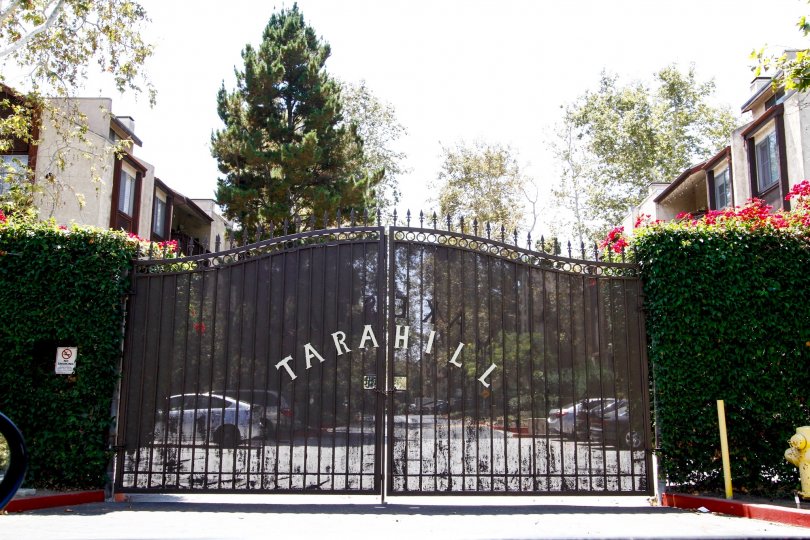 Tara Hill Condos, Lofts & Townhomes For Sale Tara Hill Real Estate