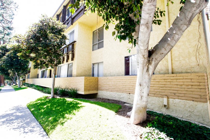 The Camelot Condos, Lofts & Townhomes For Sale The Camelot Real