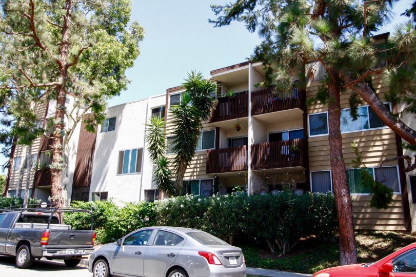 The Pines Condos, Lofts & Townhomes For Sale The Pines Real Estate