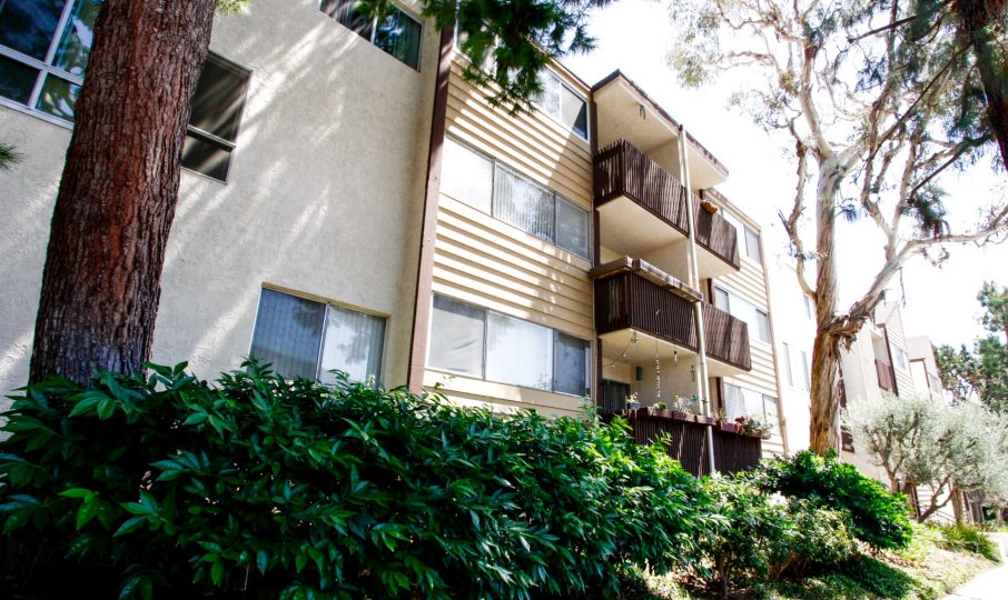 The Pines Condos, Lofts & Townhomes For Sale The Pines Real Estate