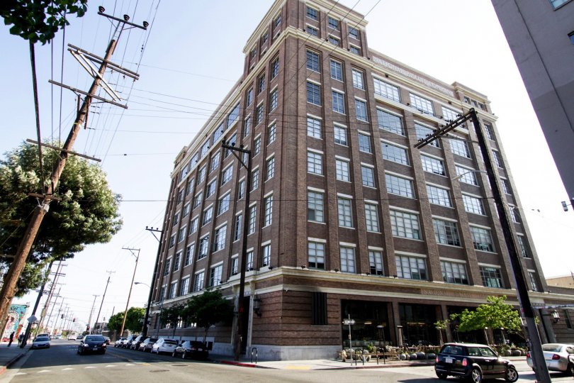 Biscuit Company Lofts