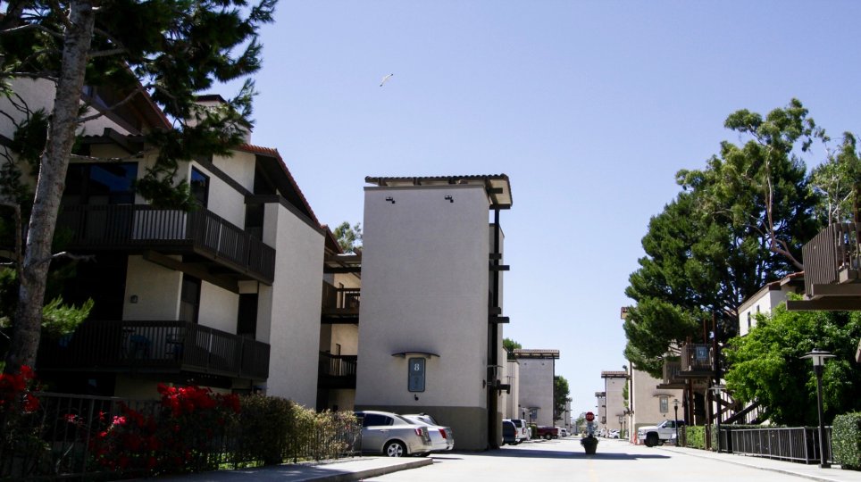 Marina Pacifica Condos, Lofts & Townhomes For Sale Marina Pacifica