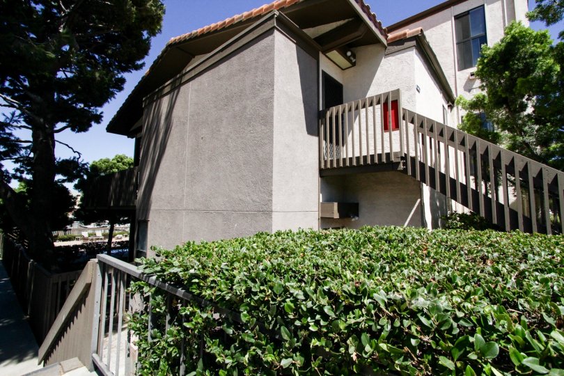 Marina Pacifica Condos, Lofts & Townhomes For Sale Marina Pacifica