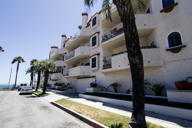 Palacio Del Mar Condos, Lofts & Townhomes For Sale Palacio Del Mar