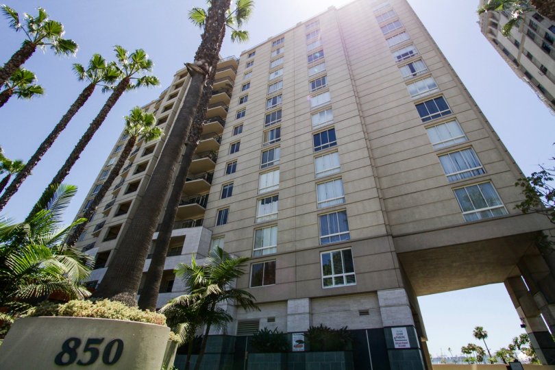 The Pacific Condos, Lofts & Townhomes For Sale The Pacific Real