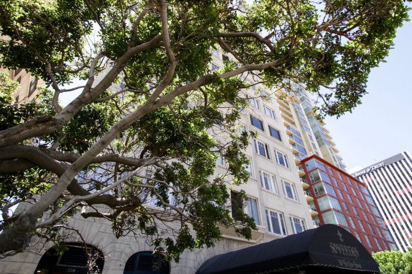 The Sovereign Condos, Lofts & Townhomes For Sale The Sovereign Real Estate The Sovereign