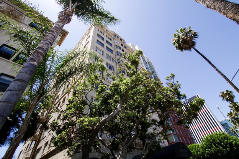 The Sovereign Condos, Lofts & Townhomes For Sale The Sovereign Real