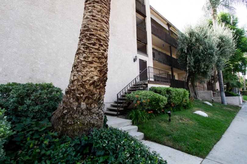 Encino Villas Condos, Lofts & Townhomes For Sale Encino Villas Real