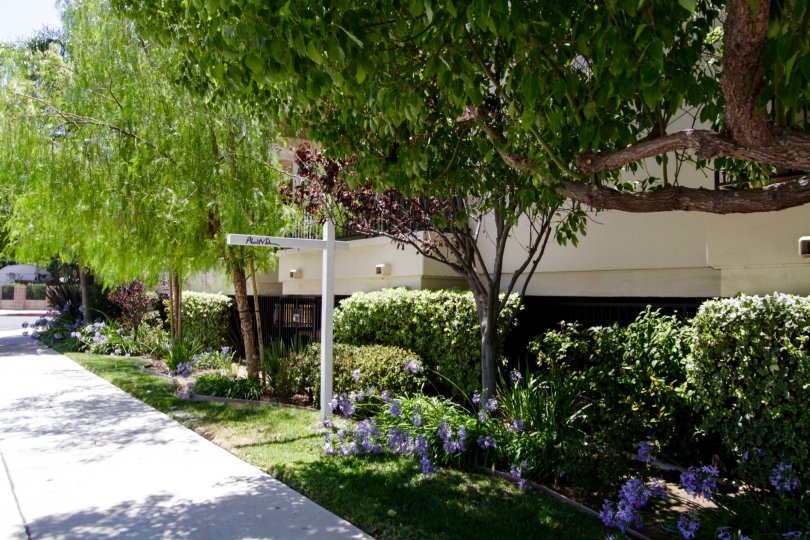 Encino Vista Condos, Lofts & Townhomes For Sale Encino Vista Real