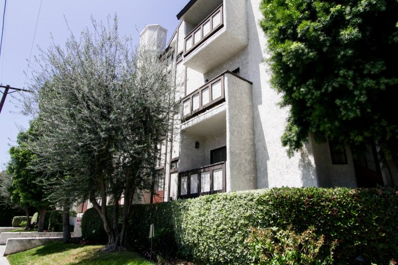 Hampton Court Condos, Lofts & Townhomes For Sale Hampton Court Real Estate Hampton Court