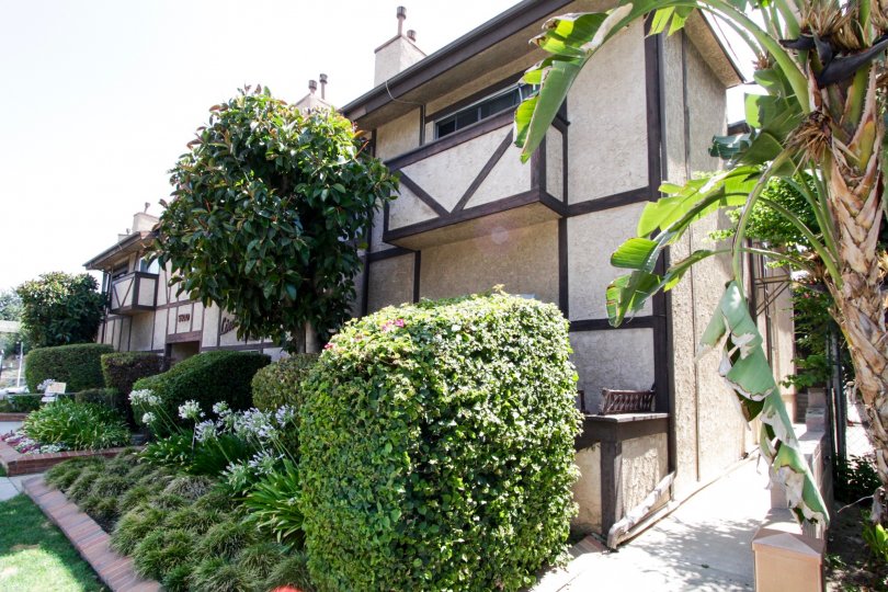 Lindley Park Plaza Condos, Lofts & Townhomes For Sale Lindley Park Plaza Real Estate Lindley