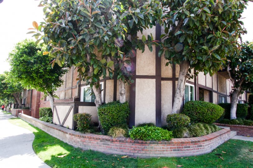 Lindley Park Plaza Condos, Lofts & Townhomes For Sale Lindley Park Plaza Real Estate Lindley