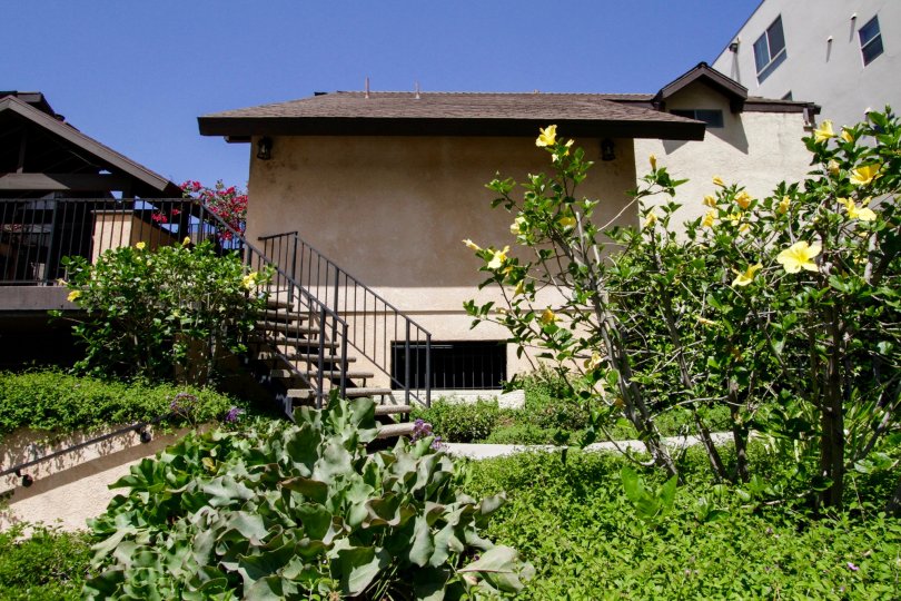 Newcastle Gardens Condos, Lofts & Townhomes For Sale Newcastle