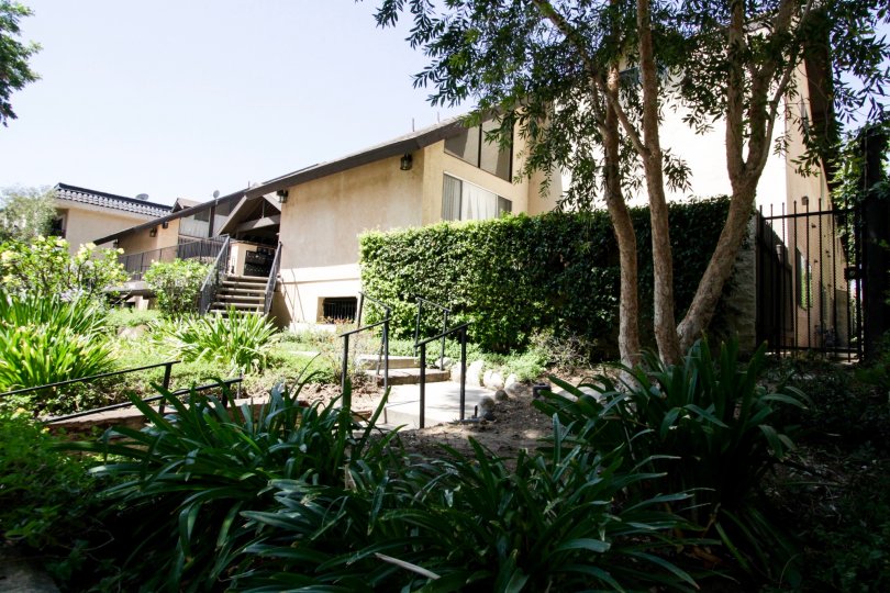 Newcastle Gardens Condos, Lofts & Townhomes For Sale Newcastle