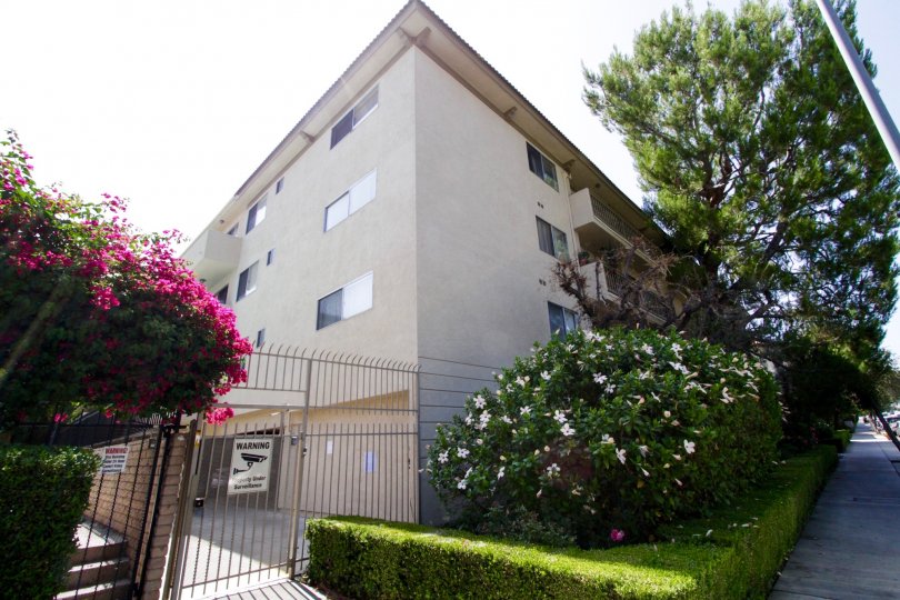 Ports of Call Condominiums Condos, Lofts & Townhomes For Sale Ports