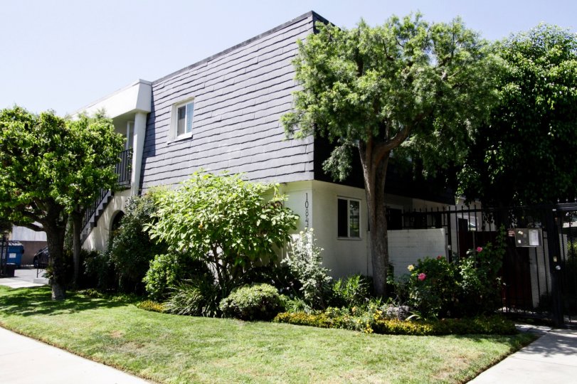 Toluca Continental Townhomes Condos, Lofts & Townhomes For Sale