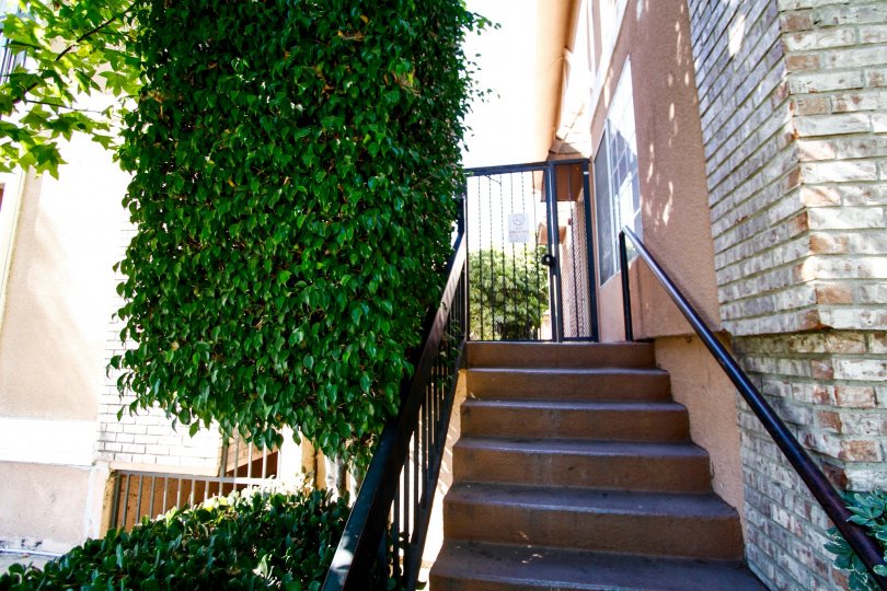 Acacia Village Condos, Lofts & Townhomes For Sale Acacia Village Real