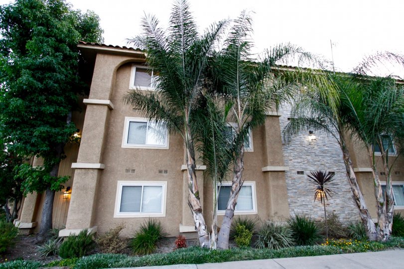 Altura Gardens Condos, Lofts & Townhomes For Sale Altura Gardens Real