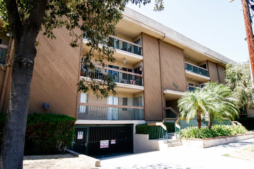 Belmont Terrace Condos, Lofts & Townhomes For Sale Belmont Terrace