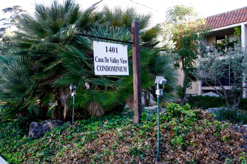 Casa De Valley View Condos, Lofts & Townhomes For Sale Casa De Valley