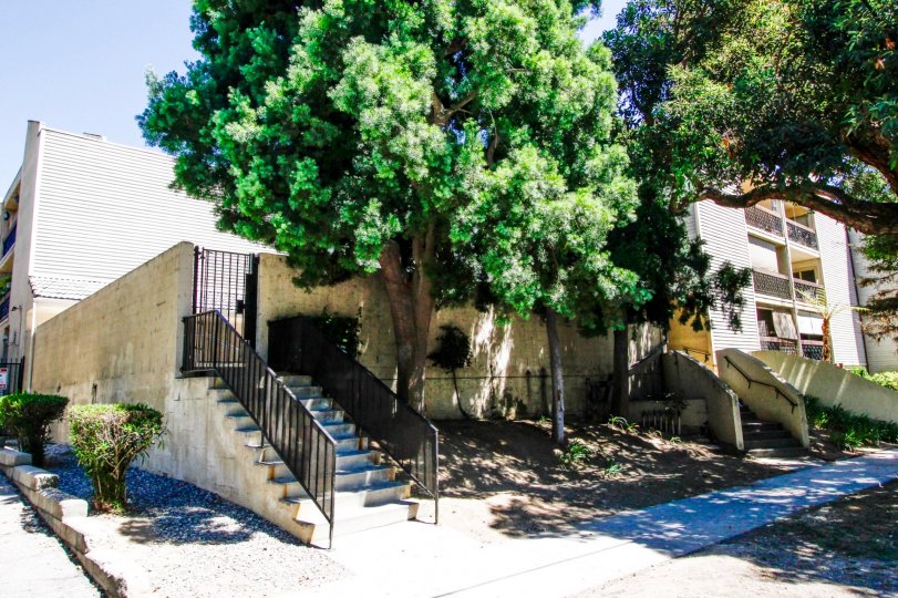 Cherry Tree North Condos, Lofts & Townhomes For Sale Cherry Tree