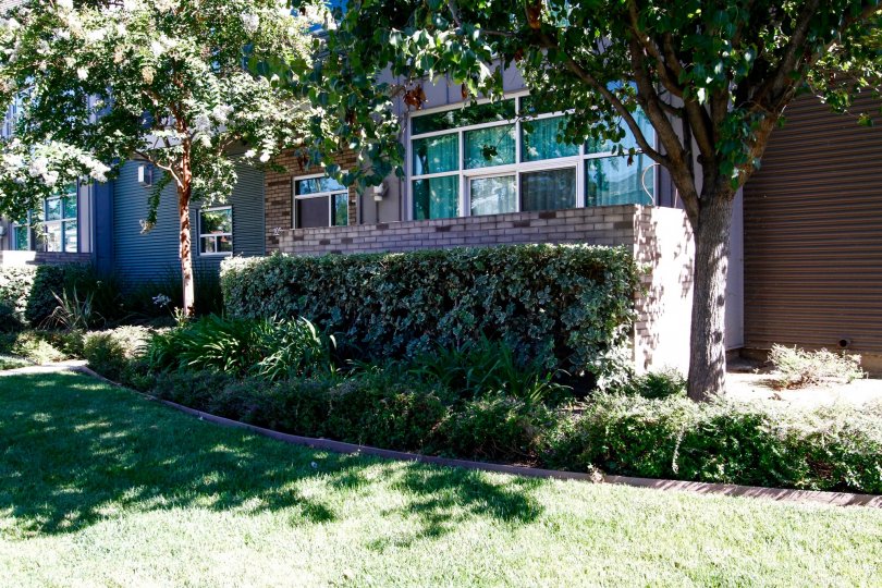 Doran Lofts Condos, Lofts & Townhomes For Sale Doran Lofts Real