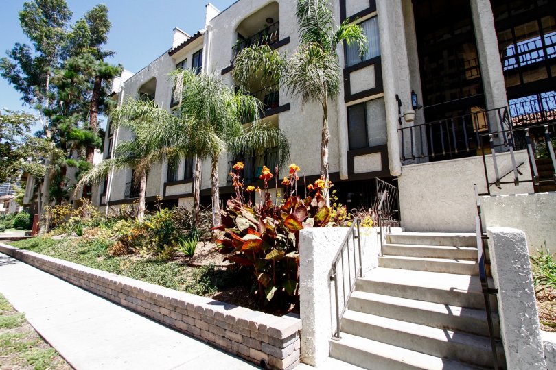 El Patio De La Vista Condos, Lofts & Townhomes For Sale El Patio De