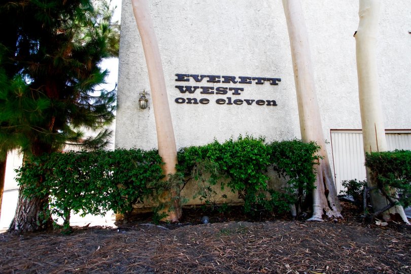 Everett West Condos, Lofts & Townhomes For Sale Everett West Real