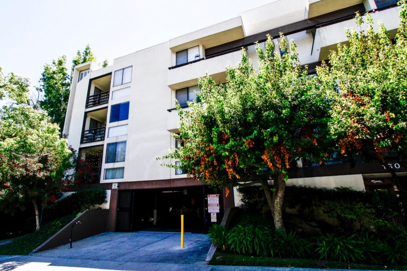 Glendale Executive Townhomes Condos, Lofts & Townhomes For Sale