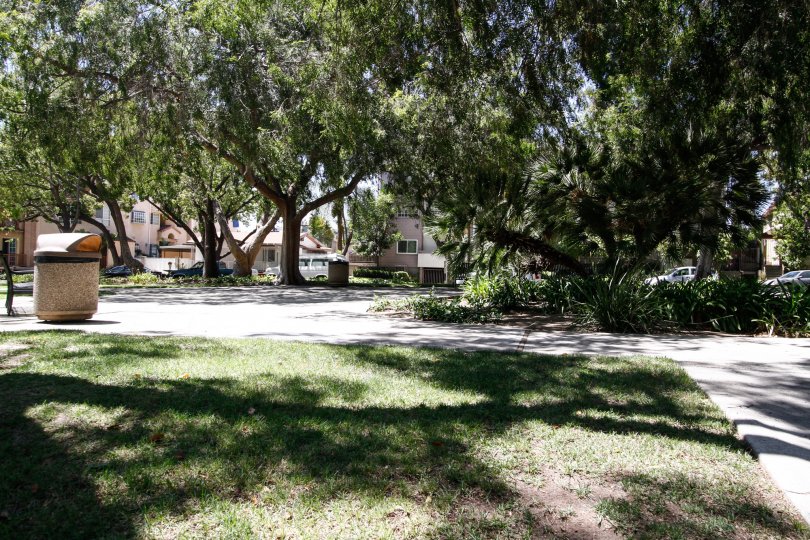 Piedmont Park Condos, Lofts & Townhomes For Sale Piedmont Park Real