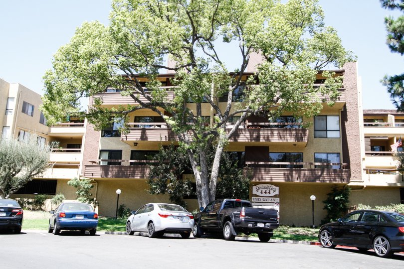 Piedmont Park Condos, Lofts & Townhomes For Sale Piedmont Park Real