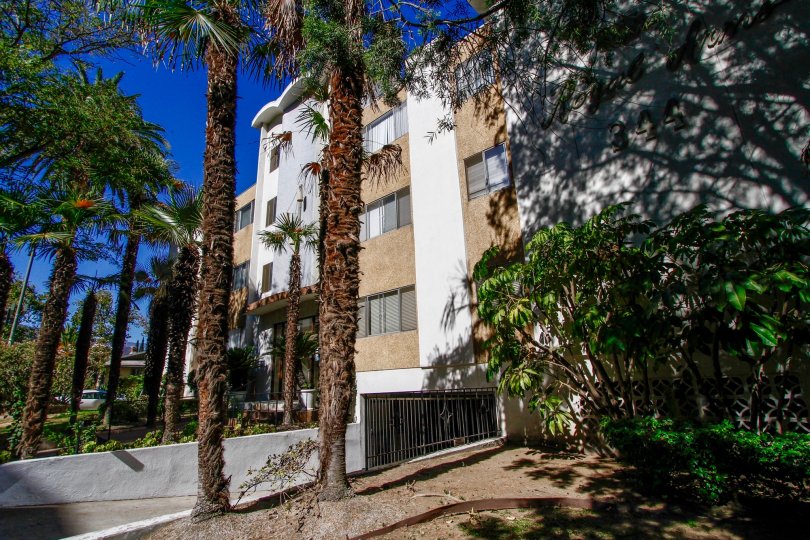 Royal Arms Condos, Lofts & Townhomes For Sale Royal Arms Real Estate