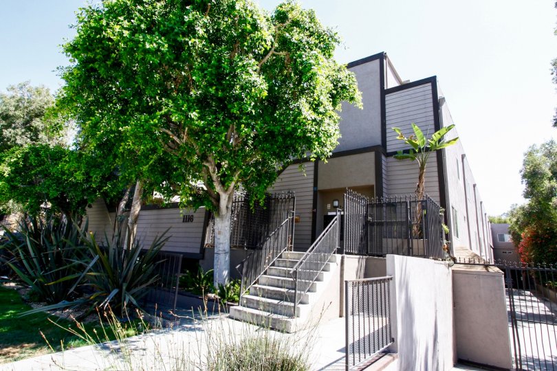 The Hudson On Adams Hill Condos, Lofts & Townhomes For Sale The