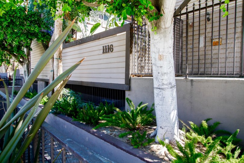 The Hudson On Adams Hill Condos, Lofts & Townhomes For Sale The