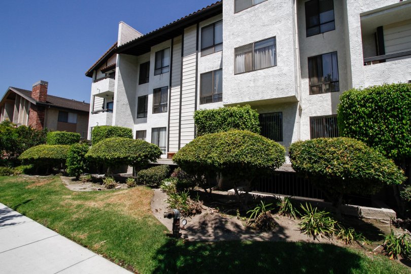 Wilson Condos Condos, Lofts & Townhomes For Sale Wilson Condos Real