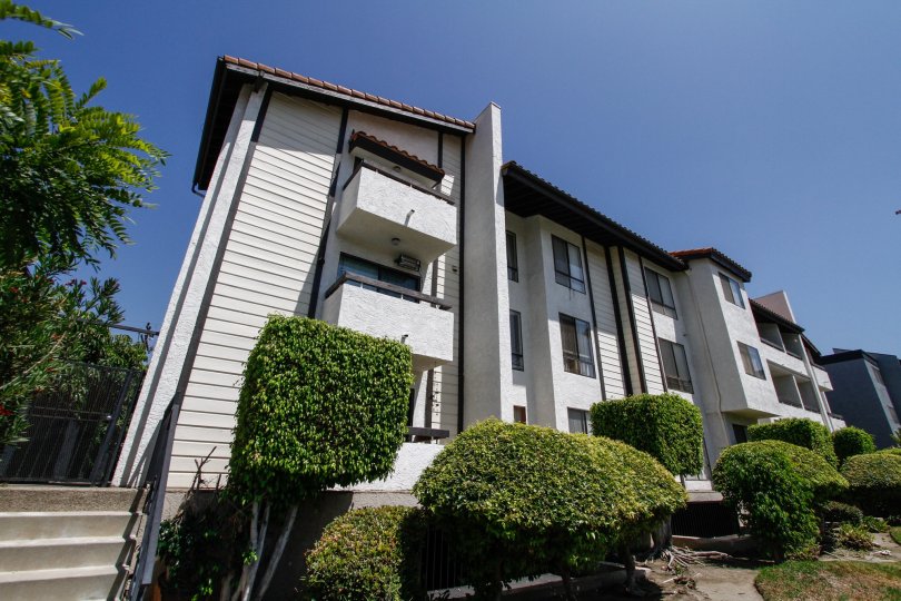 Wilson Condos Condos, Lofts & Townhomes For Sale Wilson Condos Real