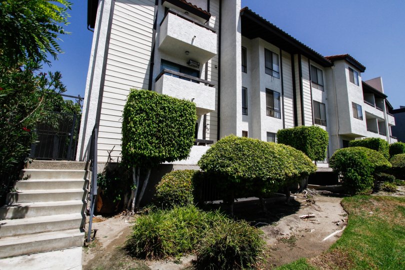 Wilson Condos Condos, Lofts & Townhomes For Sale Wilson Condos Real