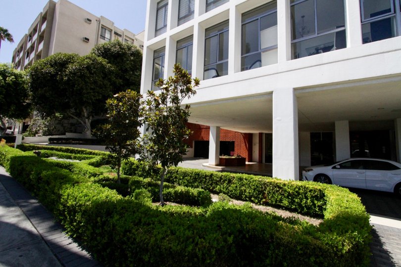 Hollywood Versailles Tower Condos, Lofts & Townhomes For Sale