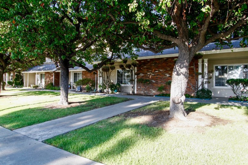 Briarwood Condos, Lofts & Townhomes For Sale Briarwood Real Estate