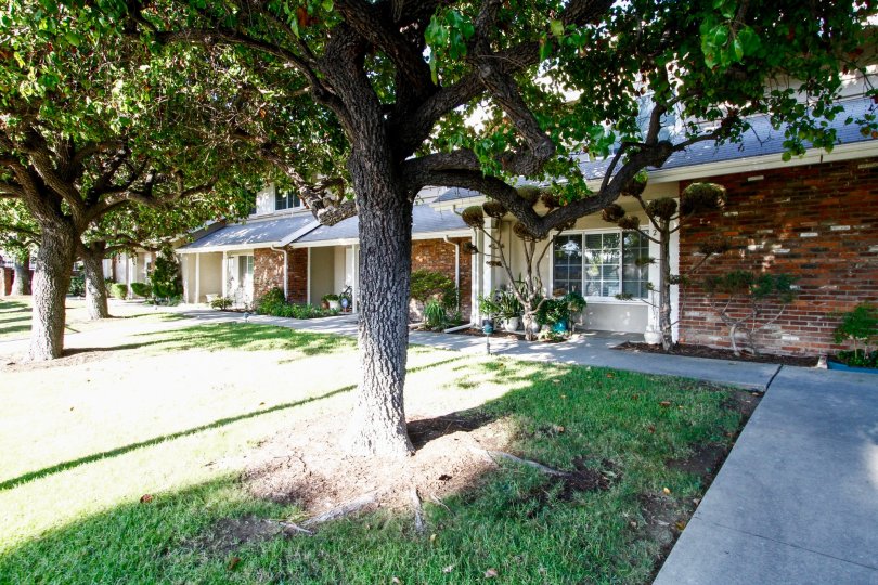 Briarwood Condos, Lofts & Townhomes For Sale Briarwood Real Estate