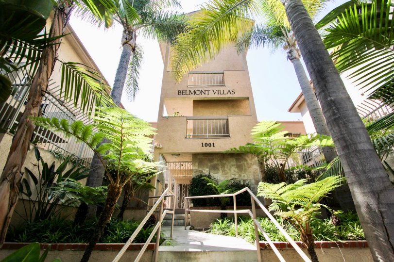 Belmont Villas Condos, Lofts & Townhomes For Sale Belmont Villas Real