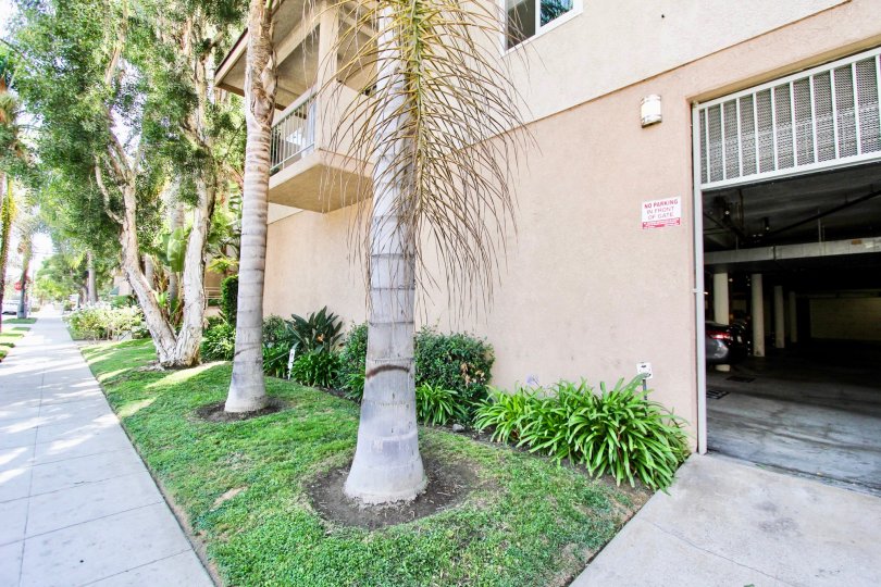 Belmont Villas Condos, Lofts & Townhomes For Sale Belmont Villas Real