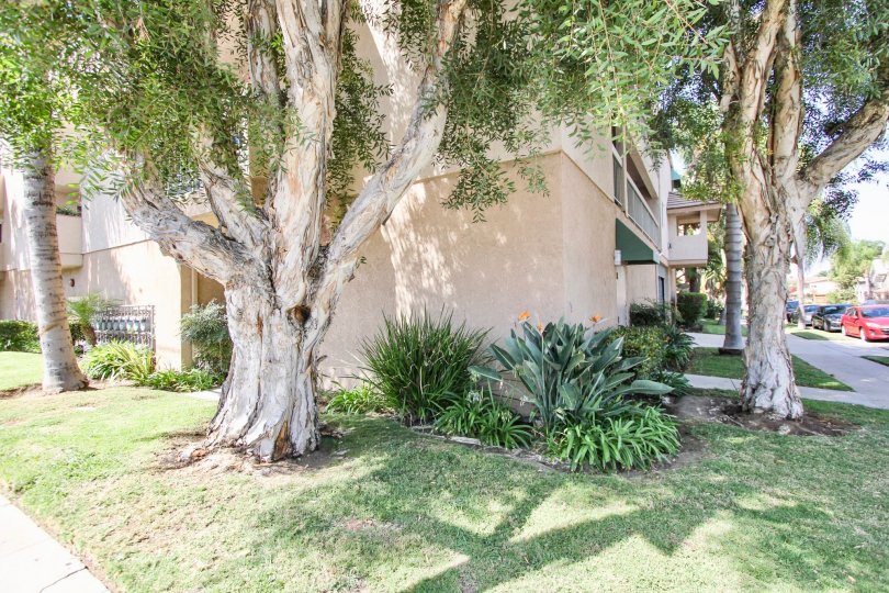 Belmont Villas Condos, Lofts & Townhomes For Sale Belmont Villas Real