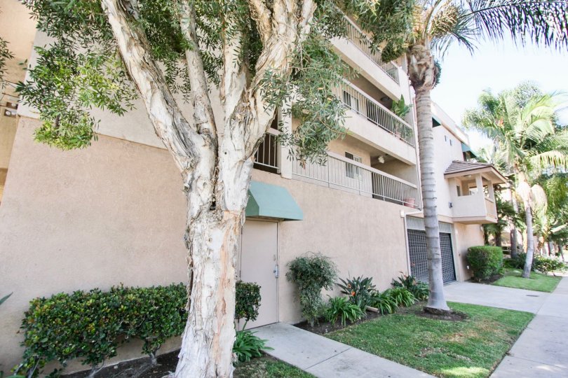 Belmont Villas Condos, Lofts & Townhomes For Sale Belmont Villas Real