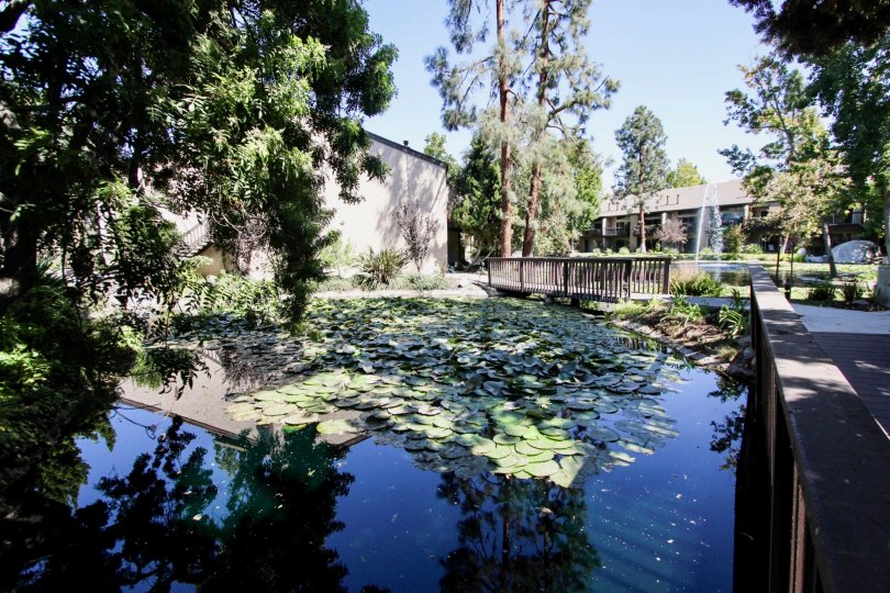 El Dorado Lakes Condos, Lofts & Townhomes For Sale El Dorado Lakes Real Estate El Dorado