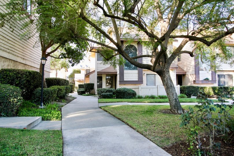 Real Estate Golden Point at Jeffry Eisele blog