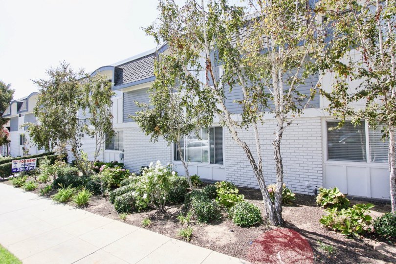 Newport Loma Condos, Lofts & Townhomes For Sale Newport Loma Real