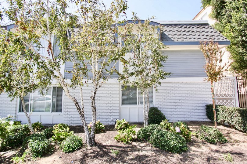 Newport Loma Condos, Lofts & Townhomes For Sale Newport Loma Real