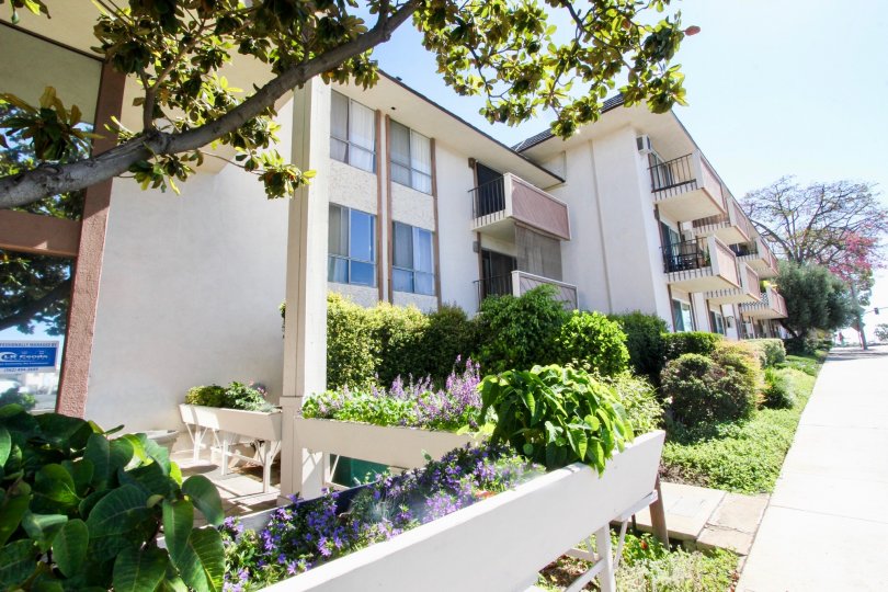 Park Ocean Condos, Lofts & Townhomes For Sale Park Ocean Real Estate