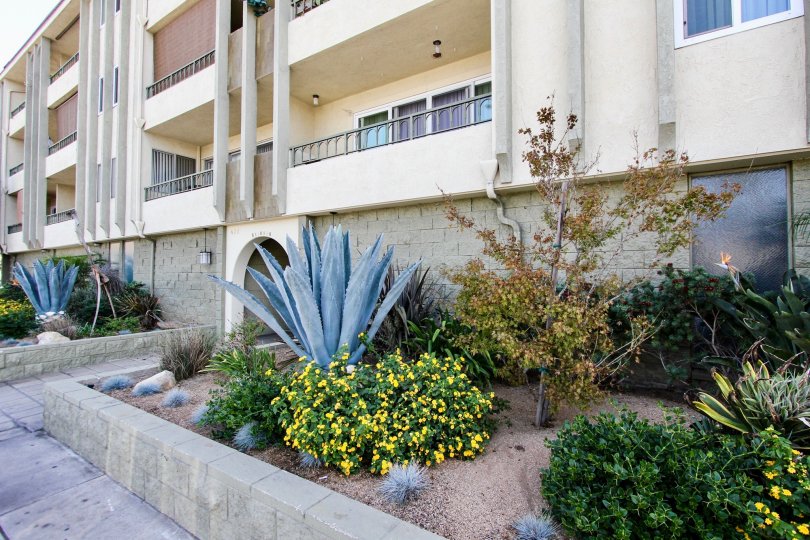 Redondo Plaza Condominiums Condos, Lofts & Townhomes For Sale Redondo